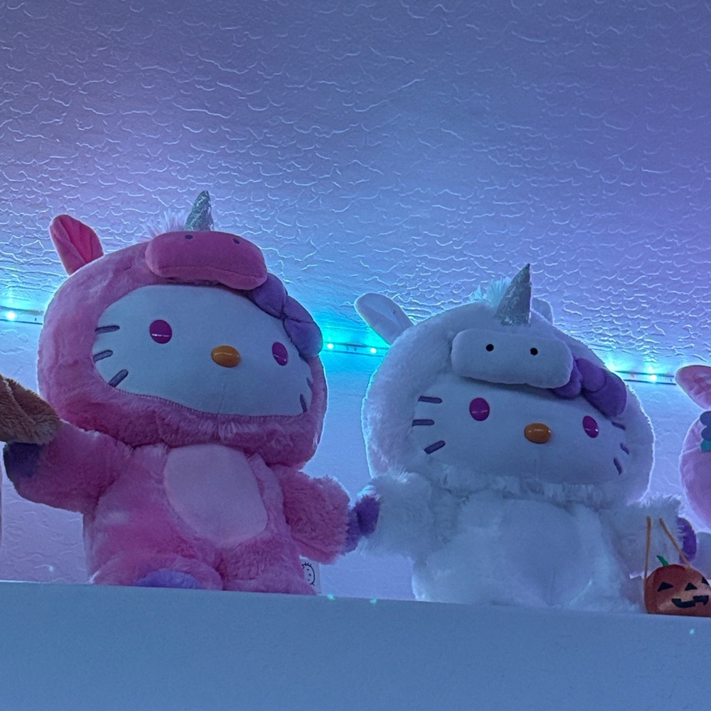 Hello Kitty Unicorn Steppers